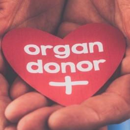 A Buddhist Perspective on Organ Donation