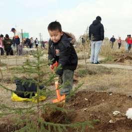 Mongolia Launches National Campaign to Plant One Billion Trees by 2030