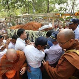 Last Rites and Cremation Performed for Sayadaw U Pandita