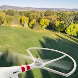 Can Tree-planting Drones Help Save the World’s Forests?