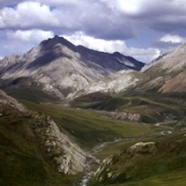 Pristine Mountain Ecosystems Under Threat from Climate Change, Study Shows