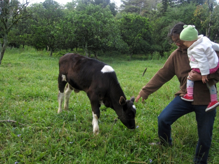 Visiting the local farm with Amaya. Image courtesy of the author