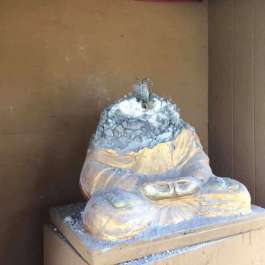Buddhist Temple Vandalized in Arkansas Seeks Funds to Replace Destroyed Buddhas