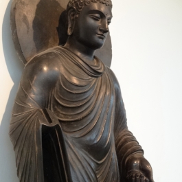 The Story of the Buddha