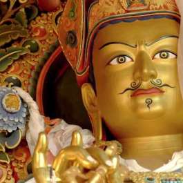 <i>Precious Guru</i>: Tracing the Wild and Sacred Legacy of Padmasambhava