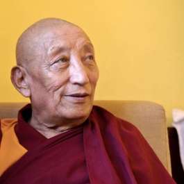 Tibetan Buddhist Monk Geshe Jampa Gyatso Reported to Have Attained a State of <i>Thukdam</i>