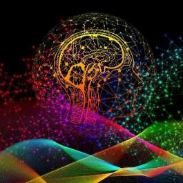 Dharma, Neuroscience, and Free Will