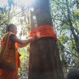 Environmental Warriors: Buddhist Eco-monks and Tree Ordination