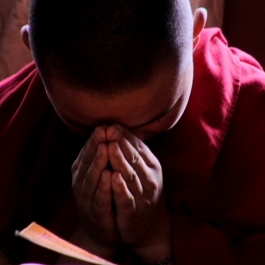 “Buddhism Fatigue” and Buddhist Nuns in Filmmaking
