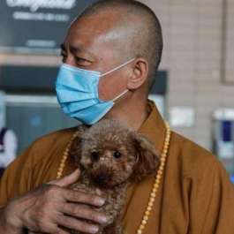 Buddhist Monk in China Saves Thousands of Abandoned Animals