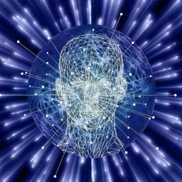 More about the Neuroscience of Enlightenment