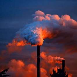 Climate Crisis: 2,185 Scientists, Academics Call for Fossil Fuel Non-Proliferation Treaty