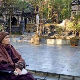Followers Mark 95th Continuation Day of Revered Buddhist Teacher Thich Nhat Hanh