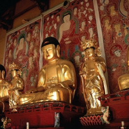 Two Buddhas, Two Teachings: Differences in Methods