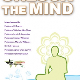 Unlock the Mind: the BDI Meditative Praxis Interviews