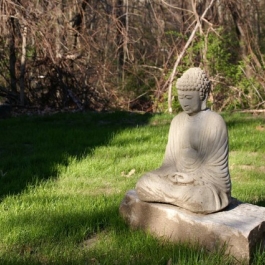 Meditation and the clinical applications of mindfulness