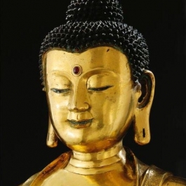Two Buddhas, Two Teachings: Differences in Practice