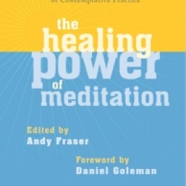 The Healing Power of Meditation: A Book Review