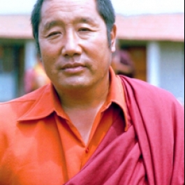 HH Penor Rinpoche Remembered