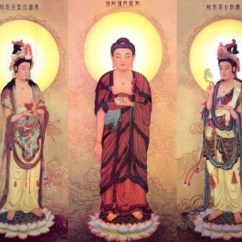 My First Encounter with Pure Land Buddhism in the Shandao Tradition