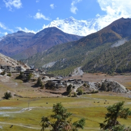 Echoes of Milarepa in the Mountains of Manang