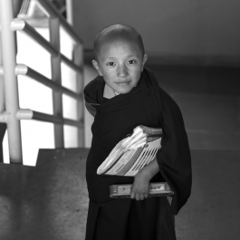 “Fertile Minds”– Encounters in the Tibetan Colony of Bir