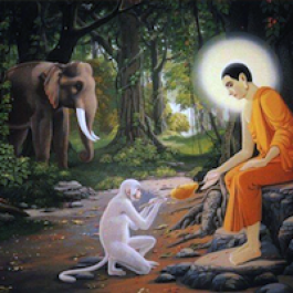 The Honey-offering Festival: Commemorating the Service of Animals to the Buddha