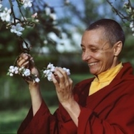 Tenzin Palmo in Hong Kong for Talk and Meditation Workshop in October
