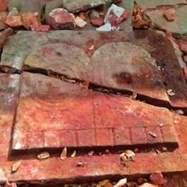 Buddha Footprints Found in Andhra Pradesh