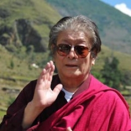 A Tribute to Thinley Norbu Rinpoche on the Fourth Anniversary of his <i>Parinirvana</i>