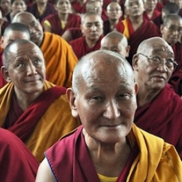 China Publishes Database of Authorized Living Buddhas, Dalai Lama Omitted