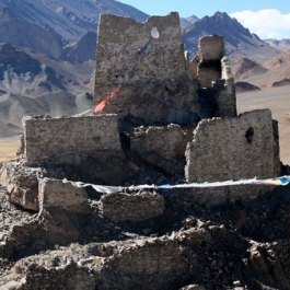 Archaeological Find Reveals New Silk Road Route