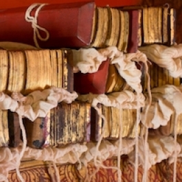 Bringing Ancient Thai Buddhist Manuscripts to the World