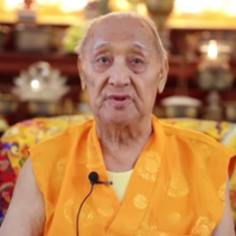 Renowned Sakyapa Teacher His Holiness Dagchen Rinpoche Dies
