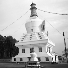 Mindrolling Monastery and the World Peace Stupa