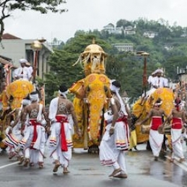 Pakistan Sends Sacred Buddhist Relics to Sri Lanka for Vesak Festival