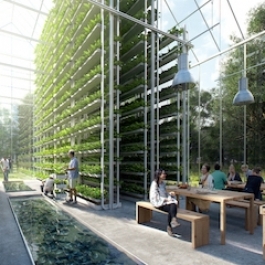 Revolutionary Self-sustaining Eco-village Planned in the Netherlands