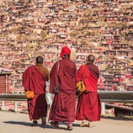 Chinese Authorities Plan Major Reduction of Monastic Population at Larung Gar