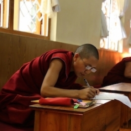 Twenty Tibetan Nuns Make History by Passing Geshema Degree