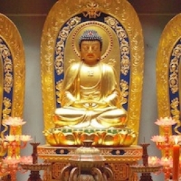What is Attained through Amitabha-Recitation?