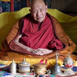 A Tribute to Kyabje Trulshik Rinpoche