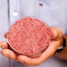 Lab-grown Meat, a Humane Alternative to Factory Farming?