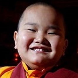 Minnesota Boy Identified as Eighth Incarnation of Taksham Lama to Begin Training Next Year