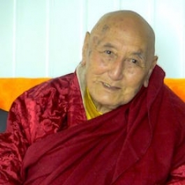 Revered Nyingma Teacher Venerable Yangthang Rinpoche Dies