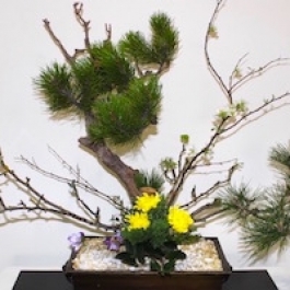 The Buddhist Roots of Japanese Flower Arrangement