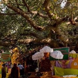 Twelve Years On: The International Tipitaka Chanting Ceremony for World Peace at Bodh Gaya