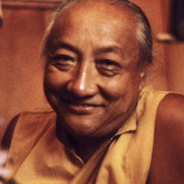 A Manifestation of Profound Wisdom and Compassion—Remembering Dilgo Khyentse Rinpoche