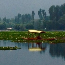 Self-reflection in Kashmir