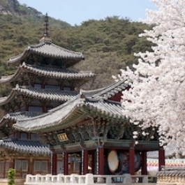 South Korea Seeks UNESCO World Heritage Status for Seven Mountain Temples