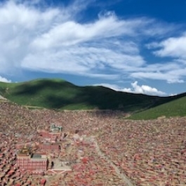 China Official Says Rebuilding Underway at Larung Gar, 800 Resettled